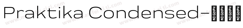 Praktika Condensed字体转换